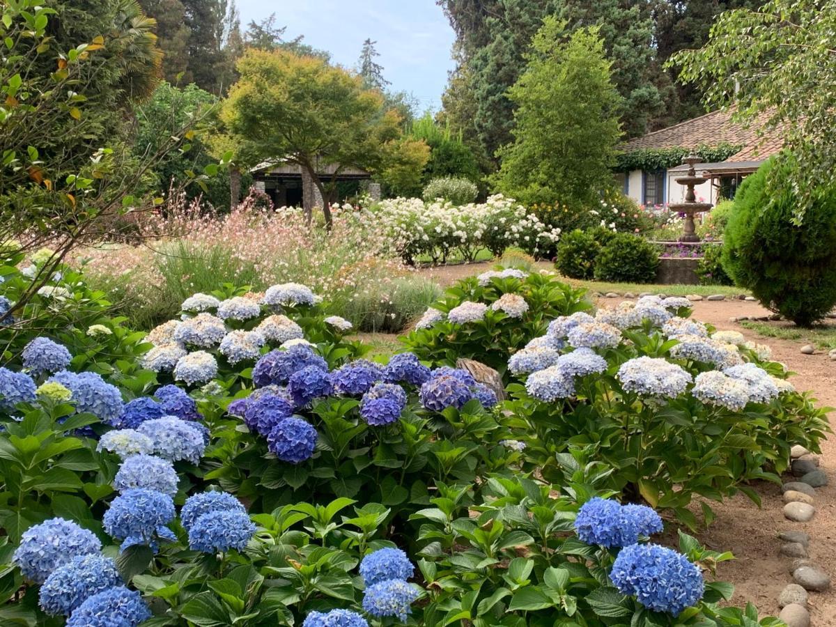 Bed & Breakfast ,Casa De Campo San Esteban,Linares Miraflores Экстерьер фото