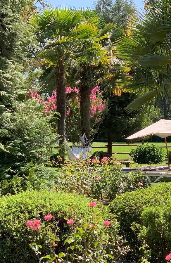 Bed & Breakfast ,Casa De Campo San Esteban,Linares Miraflores Экстерьер фото