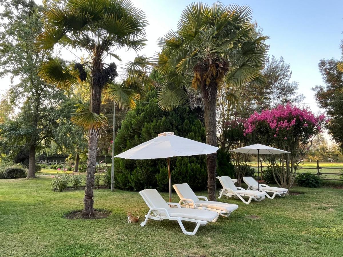 Bed & Breakfast ,Casa De Campo San Esteban,Linares Miraflores Экстерьер фото